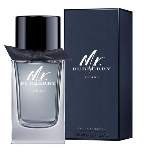 mr burberry perfume for men|where to buy mr burberry.